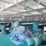 Inside Our 1,400sqm Factory: Why Adidas & Champion Choose Us